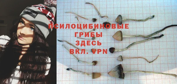 ешки Новодвинск