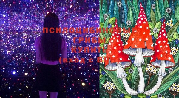 мет Алексеевка