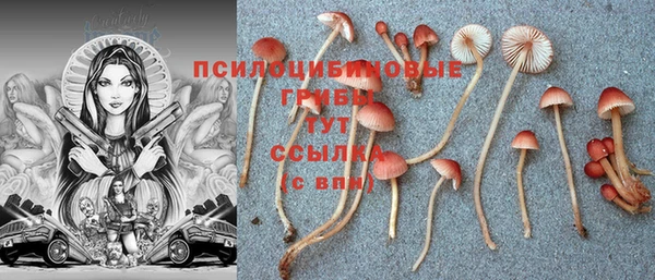 мет Алексеевка