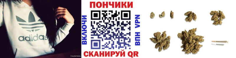 продажа наркотиков  Медынь  Канабис планчик 